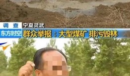 爆料睢宁猴哥事件视频最新,揭秘网络热议背后的真相